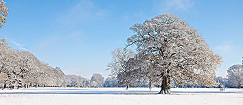 冷门之夜：小球队如何爆冷击碎强队神话
