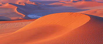 斯洛伐克运动员斩获金牌，喜获好成绩